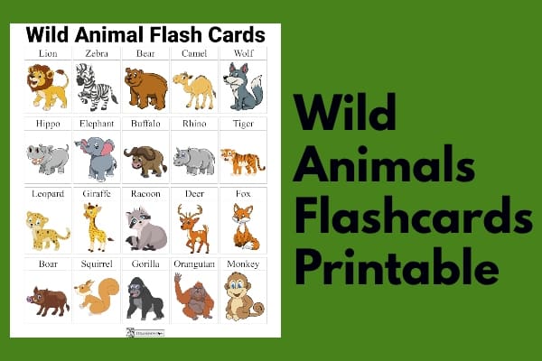 Zoo Flashcards: A Fun Way To Learn Animals!
