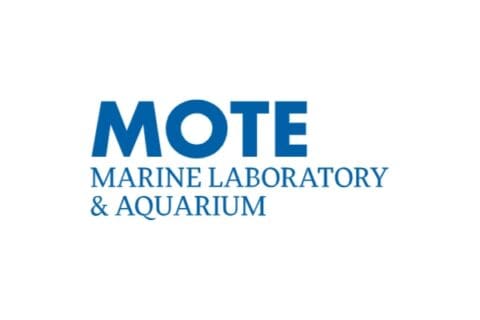 Mote Marine Laboratory & Aquarium - Florida Zoos