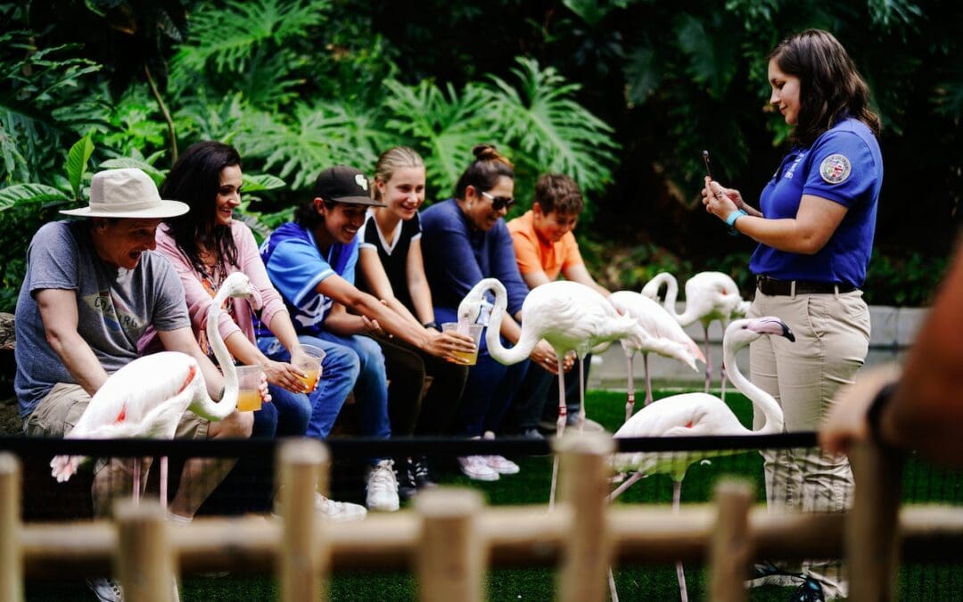 Zoo Volunteer Programs: How You Can Help Make a Difference in Florida