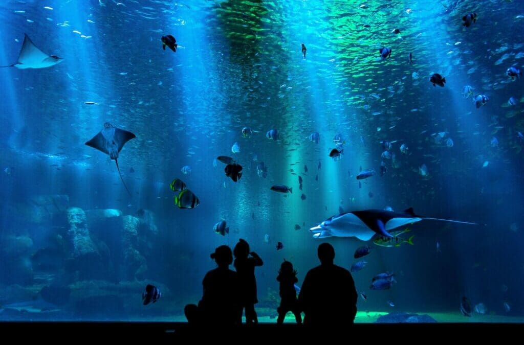 Top 10 Aquariums in the US to Visit